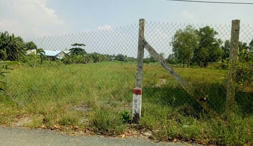 Chính Chủ Cần Tiền Sang Gấp Đất Giá Rẻ Đường Nhánh Nguyễn Văn Thời. Dt: 1000m2  Giá: 2 Tỷ.