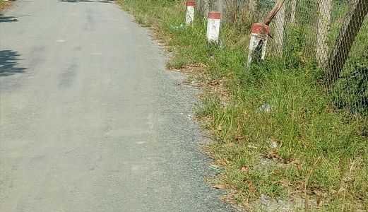 Chính Chủ Cần Tiền Sang Gấp Đất Giá Rẻ Đường Nhánh Nguyễn Văn Thời. Dt: 1000m2  Giá: 2 Tỷ.