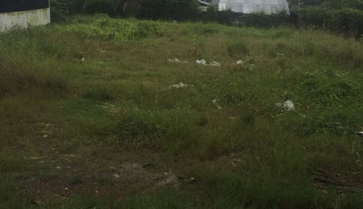 Bán Gấp 1090 M2 Đất Thổ Cư Mặt Tiền Đường Giao Thông Hào, Tân Quý Tây, Bình Chánh.