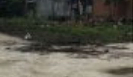 Bán Đất Quận 12, Tiện Ở Hoặc Kd Xưởng Gia Đình