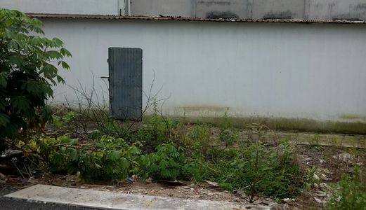 Bán Đất Hẻm 289/2 Đường Nguyễn Thị Định Phường Bình Trưng Tây Q2