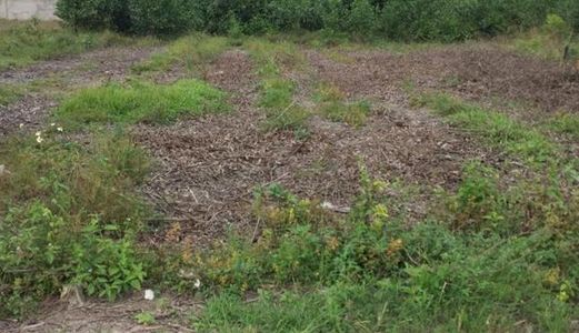 Bán 2200m2 Có 1700m2 Thổ Cư Đường 835 Giá 8.2 Tỷ.