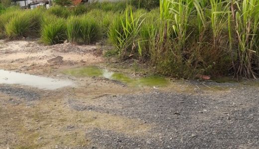 Bán Đất Đầu Tư Giá Rẻ Đường 22 Linh Đông Thủ Đức 