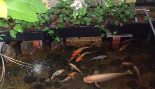 Bán Nhà Mt Đường D15 P.Tây Thạnh Q.Tân Phú