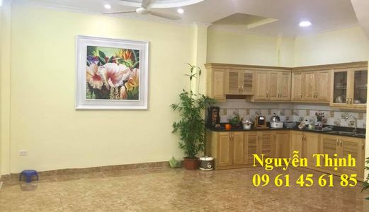 Bán Gấp Nhà Hai Bà Trưng 55M2X4T, Phân Lô, Ô Tô Gần, Hiện Đại, Kinh Doanh, 4.35 Tỷ