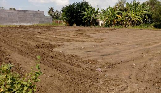 Bán Đất Dự Án Kdc, 2.5 Ha, 2.1 Tr/ M2. Tl 835 C, Phước Lợi, Bến Lức.