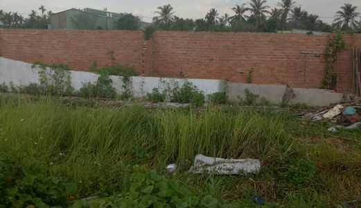 Lô Đất Nền Thổ Cư 100%, Đường Tx52, Q12 