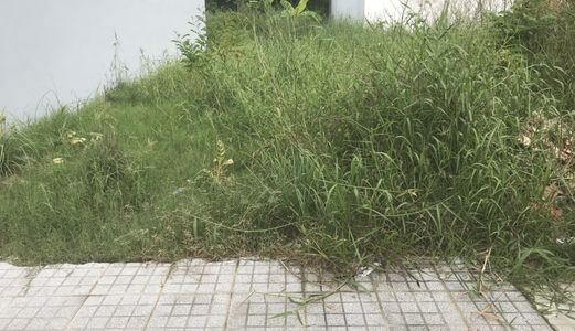 Bán Lô Đất Nền Công Ích 7X19M. Hướng Nam. Giá 42 Tr/m2. Q7.