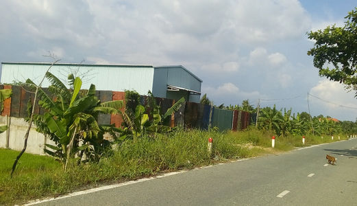 Cần Bán Đất Nông Nghiệp Nhà Bè Giá Rẻ ( 21.5* 150) Đường Ô Tô 8m, Nhà Bè. Lh: 0945265911