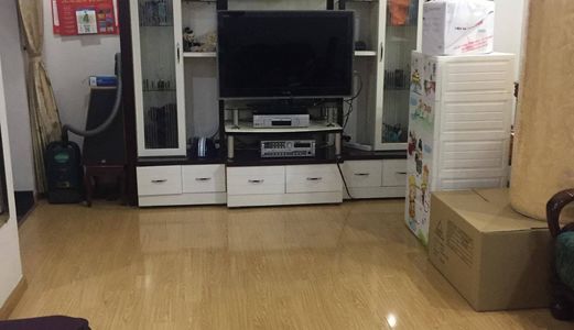 Cho Thuê Căn Hộ Chung Cư Thiên Nam Hẻm 7 A Thành Thái, Quận 10