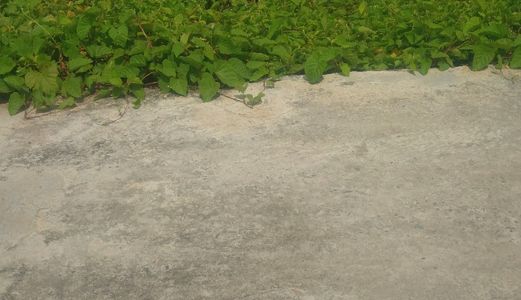 Đất Xây Xưởng 1160M2 Có 300M2 Thổ Cư Hưng Long Bình Chánh 