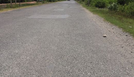 Chỉ Với 2,4 Tỷ Sở Hữu Ngay Lô Đất 1000m2 Xã Phong Phú, Đường Xe Container, Cách Quốc Lộ 150m.