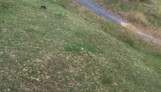 Cần Bán Gấp 1160 M2 Mặt Tiền Hl 11, Hưng Long, Bình Chánh.