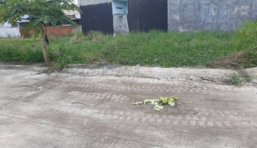 Lô Đất Nền Đường Tx25, Q12, Chỉ 1 Tỷ 480