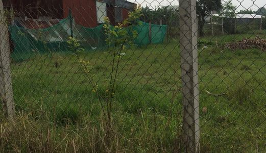 Bán Gấp 137m2 Đất Ở, Giá 1,5 Tỷ Mặt Tiền Đường Oto, Xã Hưng Long, Huyện Bình Chánh