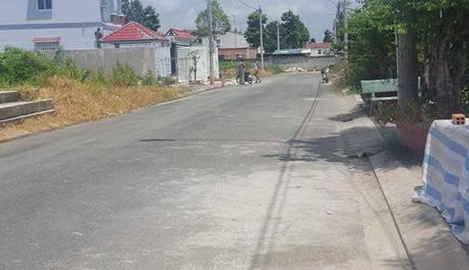 Chính Chủ, Bán Gấp 2300m2 Đất Bình Chánh, Ngang 32, Đường Đoàn Nguyễn Tuấn, Mặt Tiền Đường 20m