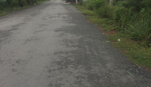 1101 M2 Thổ Cư Đường Tân Liễu Xã Tân Quý Tây, Bình Chánh.