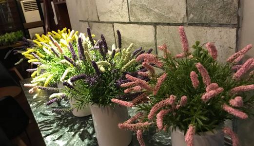 Mặt Phố Lê Trọng Tấn, Kinh Doanh Sầm Uất, Vỉa Hè 10M, 80M2 X 4T, Mt 6M, 13 Tỷ!