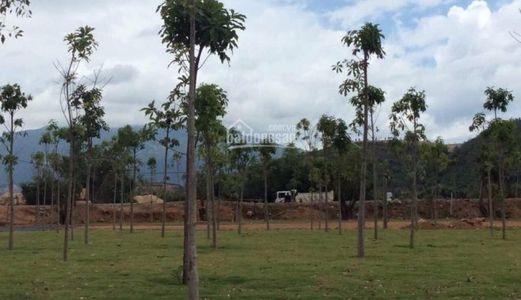 Gói 7 Mỹ Gia, Đã Xong Cơ Sở Hạ Tầng, Có Hđmb, Vị Trí Gần Đường Thông, Giá Tốt. Lh: 0975.371.742