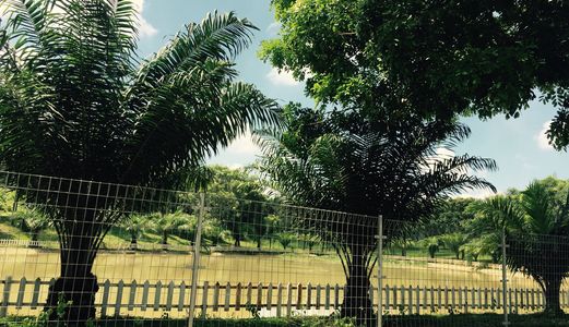 Đất Bicosi Tân Bình, Dĩ An. Kinh Doanh Buôn Bán Giá Mềm Nhất Khu Vực