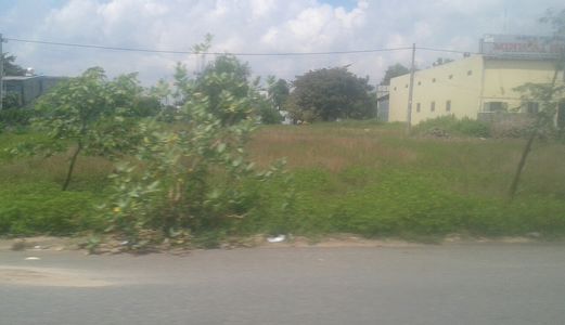 Cần Bán Gấp 300M2 Đất Thổ Cư Mặt Tiền Chợ Đường 25M Giá 495 Triệu