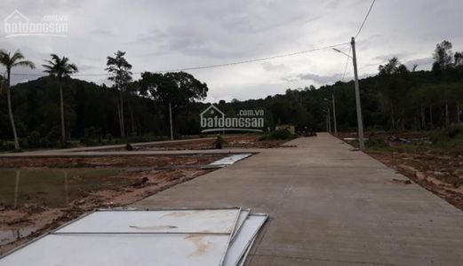 Phú Quốc Sự Lựa Chọn Cho Các Nhà Đầu Tư, Cam Kết Sinh Lợi Nhuận Nhanh Trong Vòng 6 Tháng