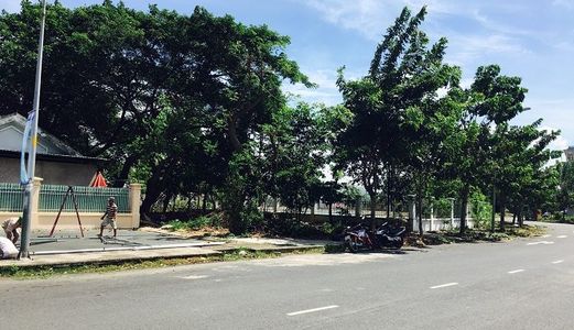 Thời Điểm Thu Hồi Vốn Vietcombank Quận 2 Phát Mại 5 Lô Đất Nguyễn Thị Định-Nguyễn Duy Trinh, Shr