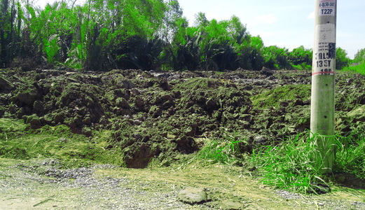 Cần Bán 3000M2 Đất Phong Phú Bình Chánh Chỉ 1.5 Tr/m2