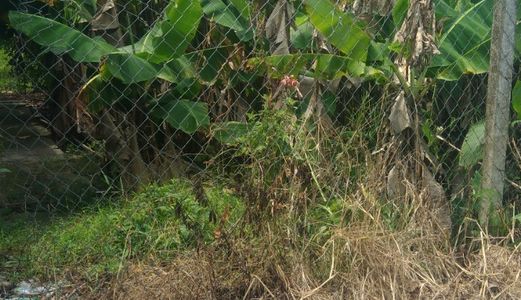 Đất Bình Chánh Giá Rẻ 188m2 Giá Chỉ 690 Triệu Xã Tân Quý Tây Huyện Bình Chánh