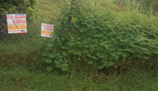 Cần Sang Lại 200 M2 Xã Tân Quý Tây, Bình Chánh Giá 650Tr.