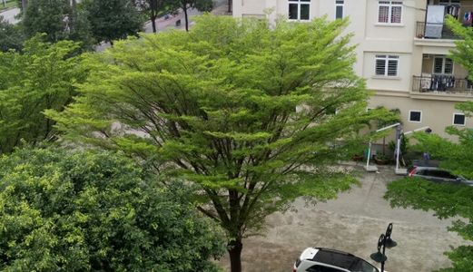 Bán Căn Hộ Tầng 5 Chung Cư A4, Quang Vinh, Biên Hòa Dt 84M2 Giá 970 Triệu