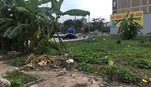 Chính Chủ Bán  2 Lô 50M2 Đất Đấu Giá Phường Dương Nội Hà Đông Sđcc