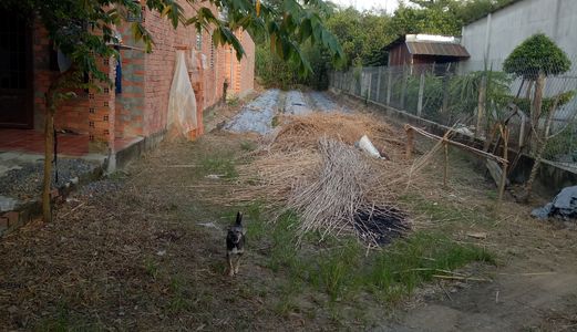 Đất Giá Rẻ, Nhận Đức, Củ Chi