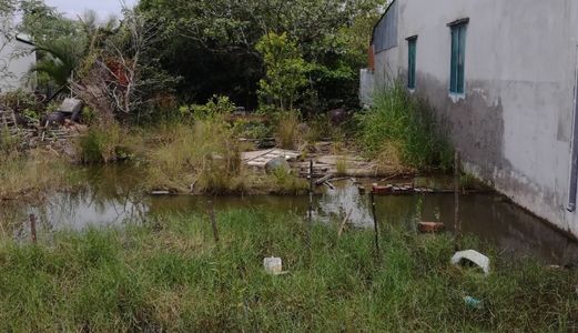 Đất Cần Giuộc Chính Chủ Cách Đường Nguyễn An Ninh Chỉ 70M Giá 4,5Tr/m2