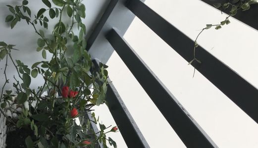 Căn Hộ The Park Residence 1Pn, Lầu Cao, View Hồ Bơi Full Nội Thất Bán Giá 1,55 Tỷ.