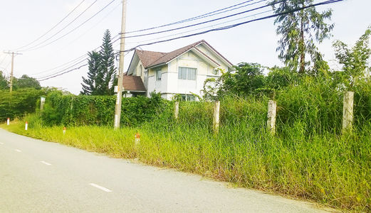 Bán Đất Xây Biệt Thự Full Thổ Cư 380m2 Mặt Tiền 12m Shr Nhà Bè Chỉ 17 Tr/m2