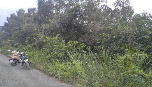 Bán 1 Số Lô Đất Nông Nghiệp Huyện Hóc Môn Giá Dẻ Nhất Thị Trường 450K/m2