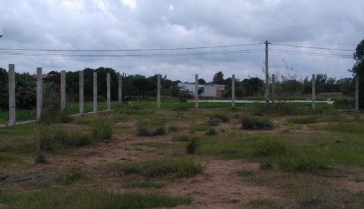 Bán 375M2 Đất Kho Xưởng Full Thổ Cư Giá 3 Tỷ Tại Bùi Văn Sự.