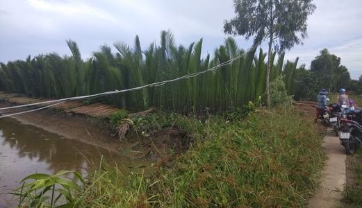 An Thới Đông , 10282m2 Đất Nông Nghiệp, 170 Tr/ 1000m2