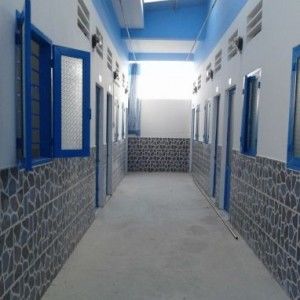 Cần Sang Nhanh 2 Dãy Nhà Trọ 12 Phòng, Giá Rẻ, Shr, Lê Văn Lương, Thu Nhập Hơn 20Tr/tháng, Nhà Bè