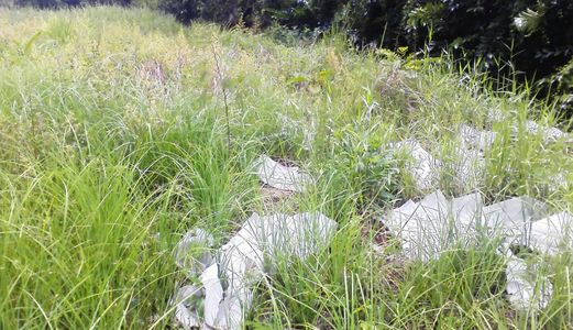 Chính Chủ Sang Gấp 1159M2, 2.1Tr/m2 Mặt Tiền T5, Hưng Long, Bình Chánh 