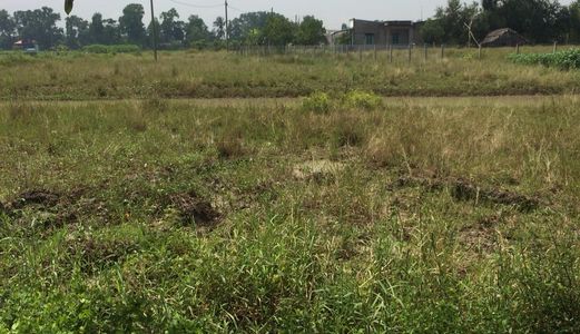 390M2 Có 280M2 Thổ Cư Xã Tân Quý Tây Huyện Bình Chánh