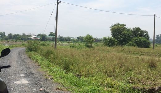 Bán Gấp 1100m2 Đất (Có 120m Thổ Cư), Xã Tân Qúy Tây, Bình Chánh.