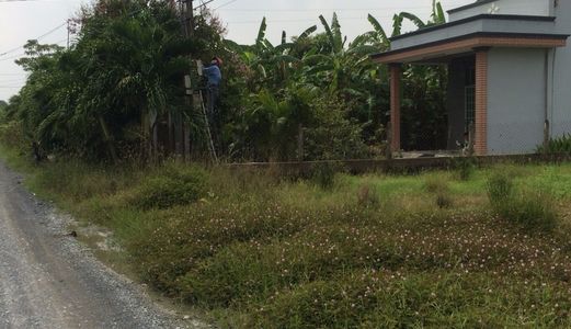 Bán Gấp Lô Đất Nông Nghiệp 7x26m Tại Xã Tân Quý Tây Bình Chánh, 650 Tr, Lh:0938167904