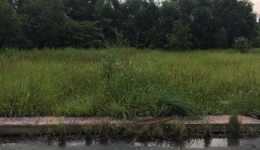 Về Quê Sinh Sống, Sang Lại Lô Đất 80M2, 480Tr Ở Bình Chánh, Shr Chính Chủ.