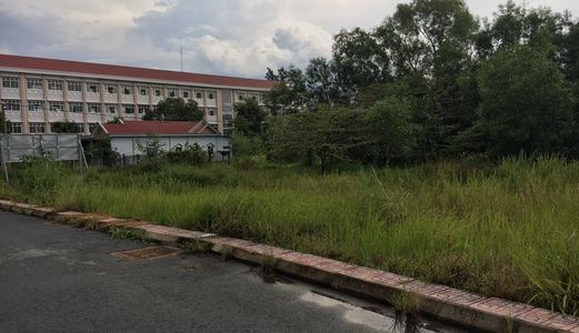 Về Quê Sinh Sống, Sang Lại Lô Đất 80M2, 480Tr Ở Bình Chánh, Shr Chính Chủ.