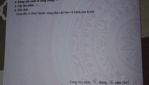 Đất Thổ Cư Huyện Cần Giuộc Mặt Tiền Đường Mỹ Lộc Phước Hậu