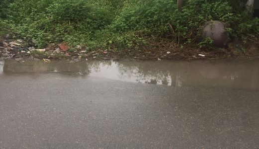 Bán Lô Đất Giá Rẻ Tại Xã Đa Phước, Bình Chánh.