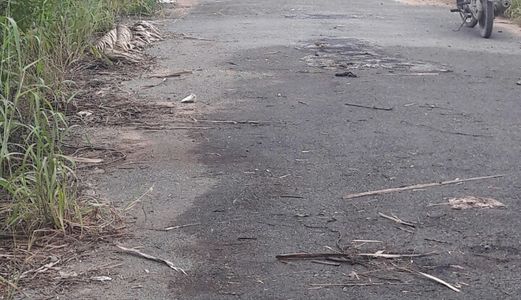 Cần Bán 772 M2 Đất Vườn Đường Nguyễn Văn Tạo 