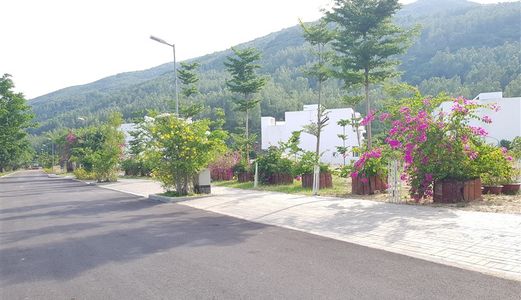 Green Home Quy Nhơn Dẫn Lối Về Thiên Nhiên